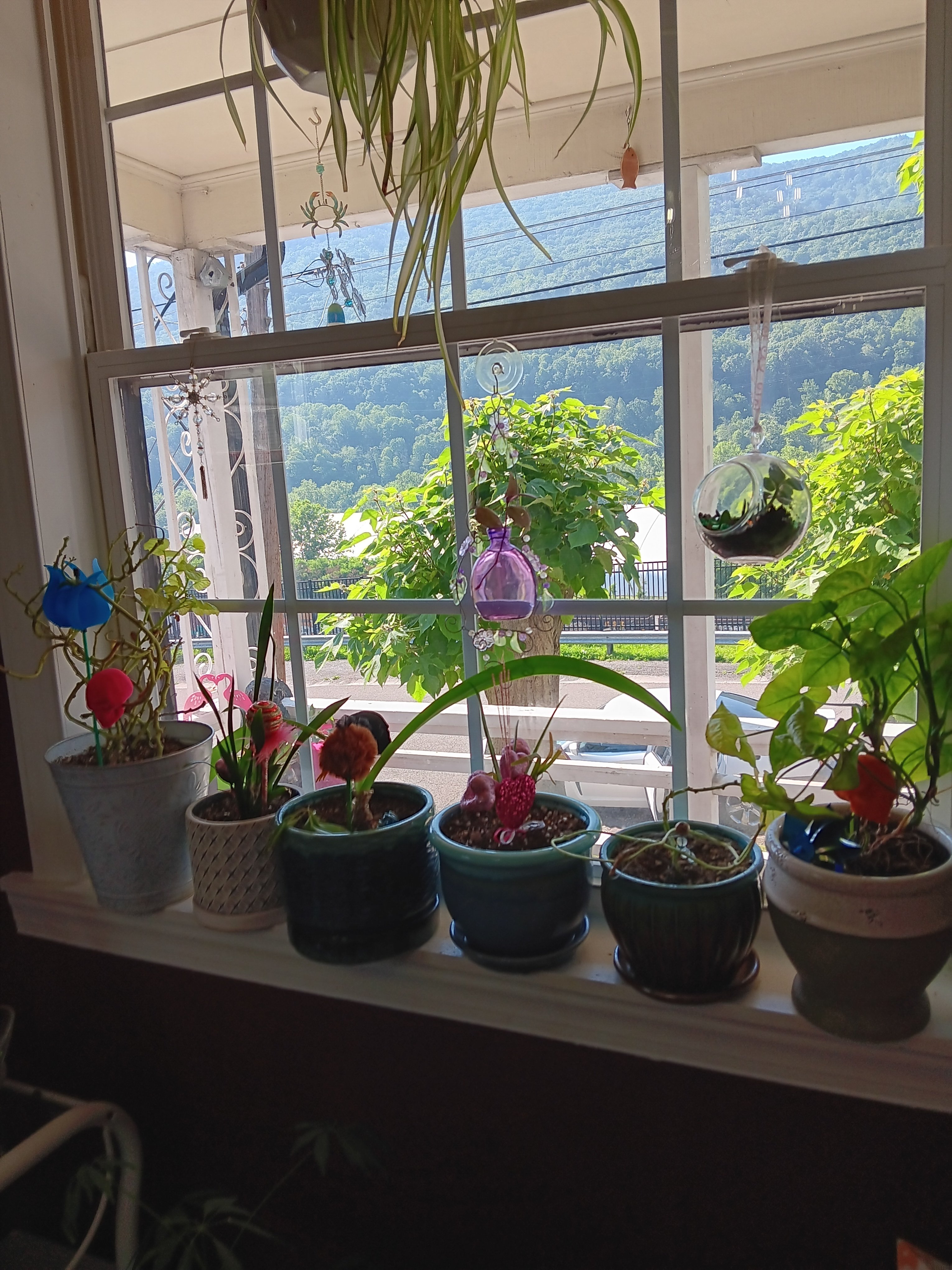 Avatar for BlacksGigs