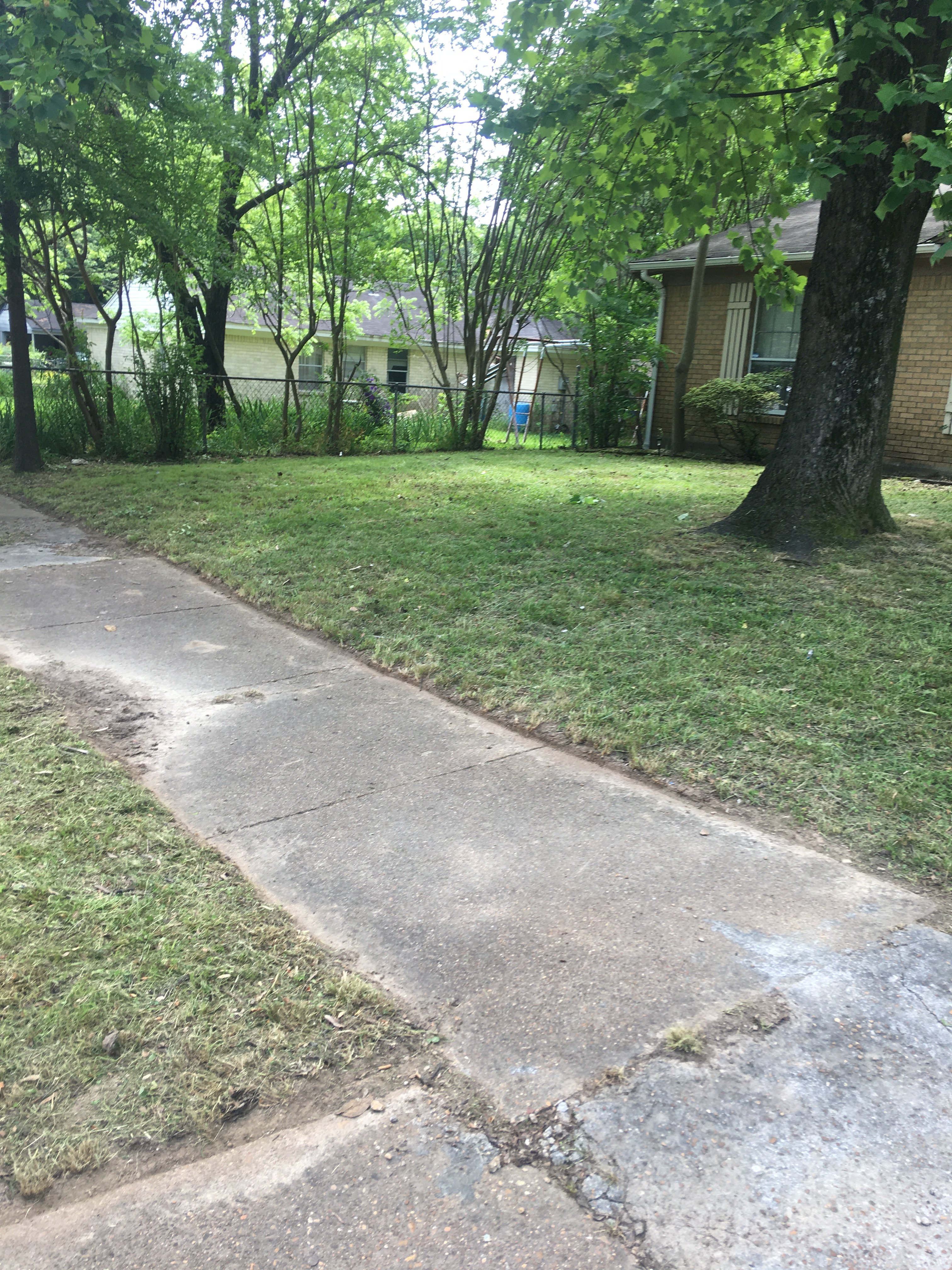 Avatar for Changing Green Landscaping & Home Improvements