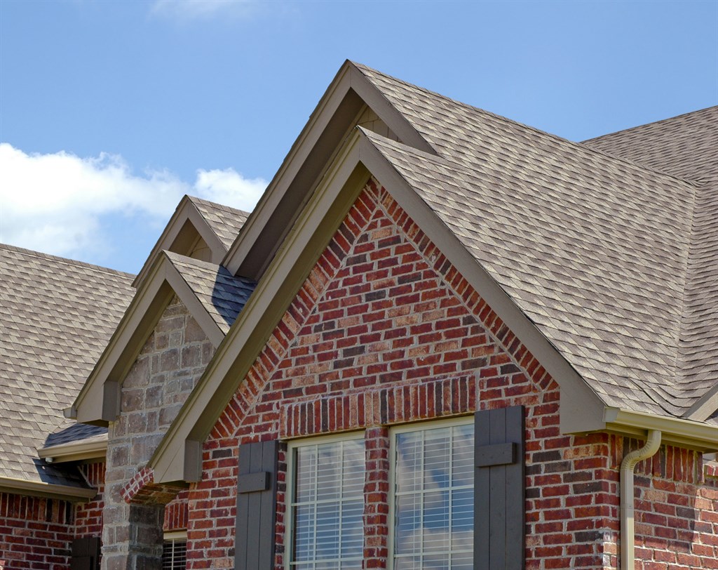 Lifetime Shingle Roof
