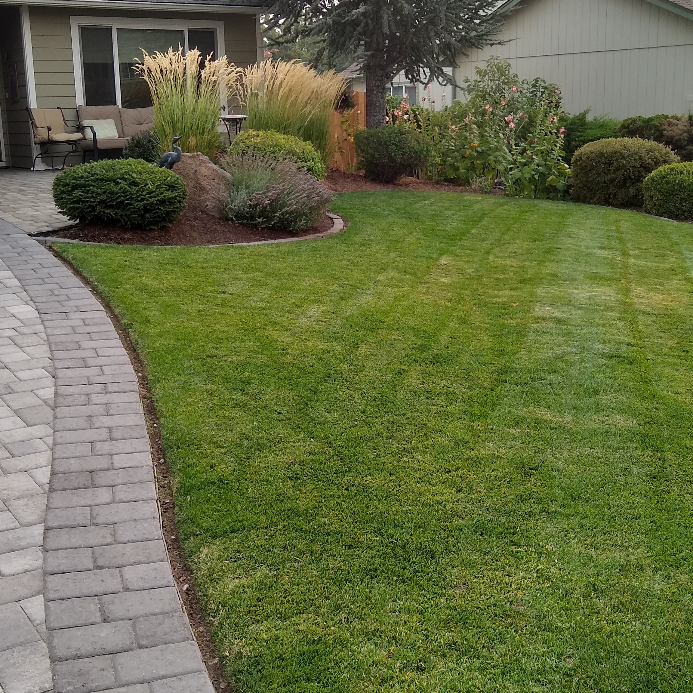 Avatar for D and T yard scapes LLC