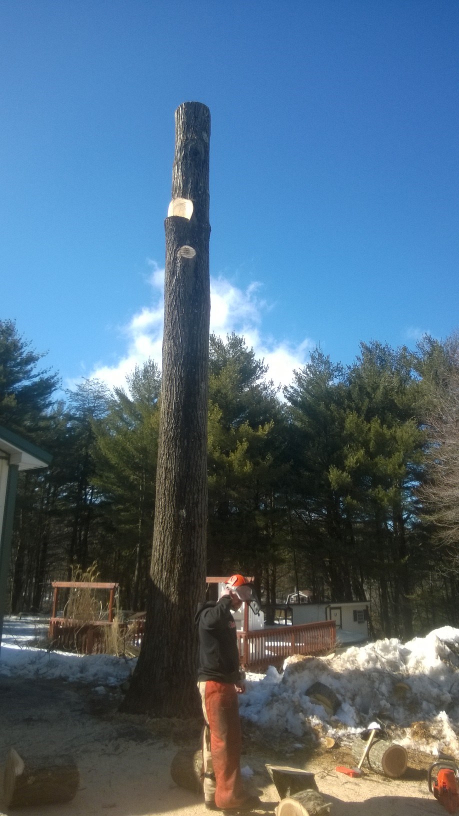 Avatar for Z&G Tree Solutions