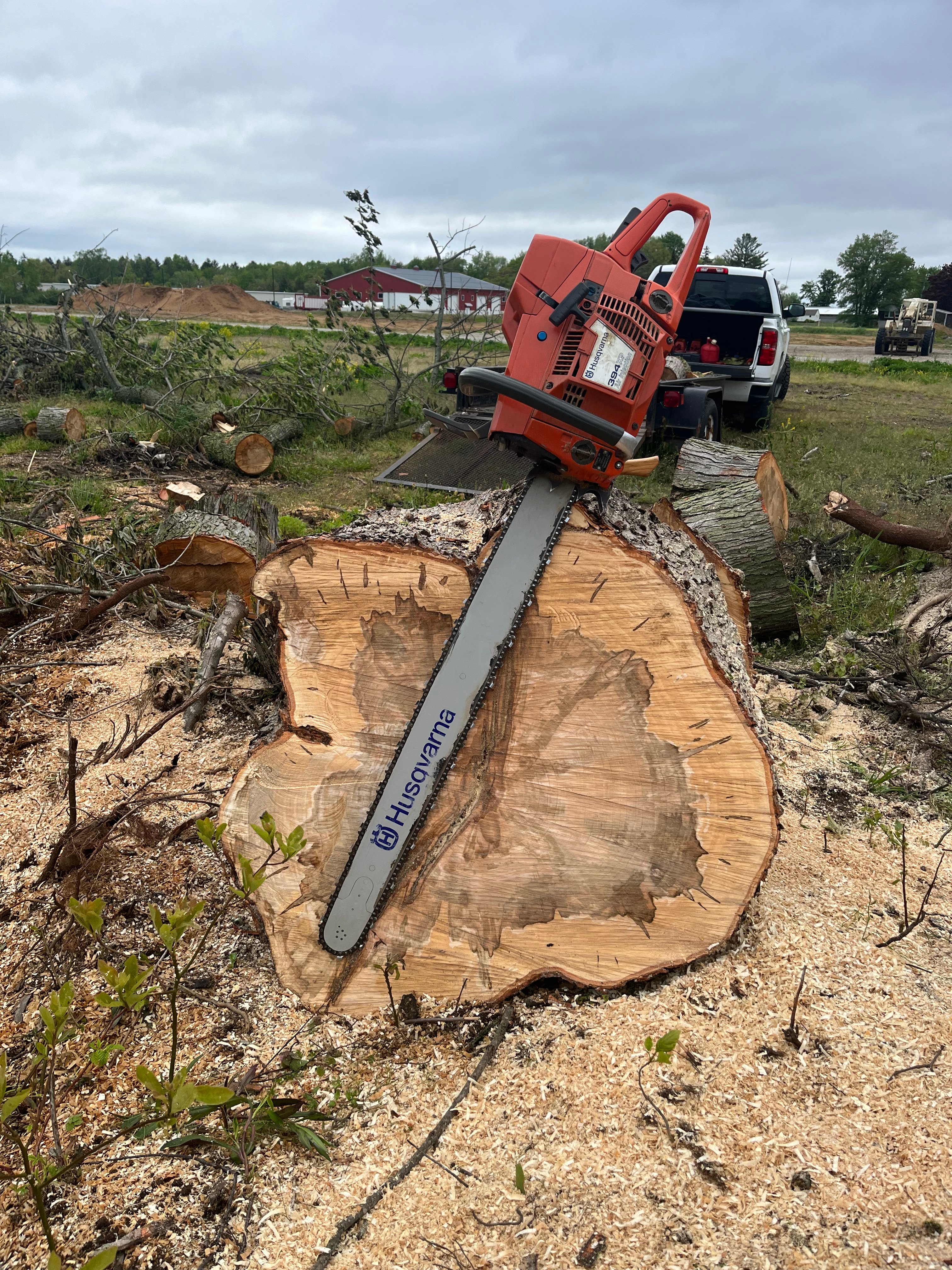 Avatar for Meyer Tree Service LLC