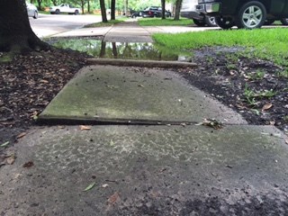 Sidewalk Solutions Sidewalk Leveling logo