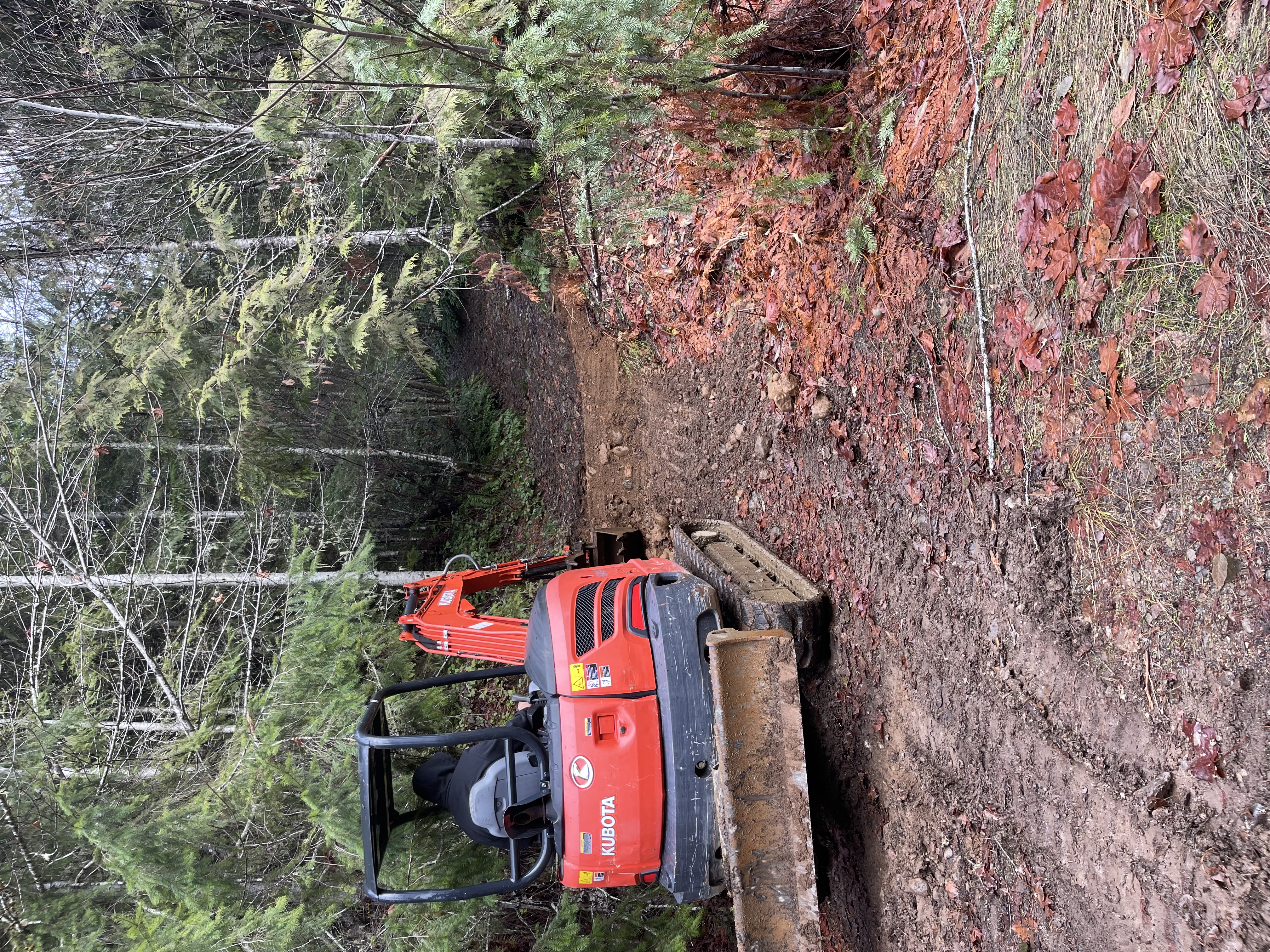 Avatar for Tommy Bedard