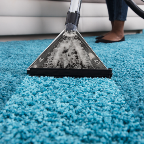 Avatar for First Choice Carpet & Upholstery Cleaning