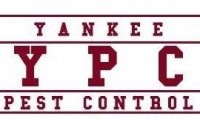 Avatar for YANKEE PEST CONTROL