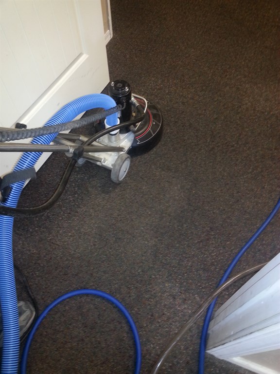 Office Carpet Cleaning