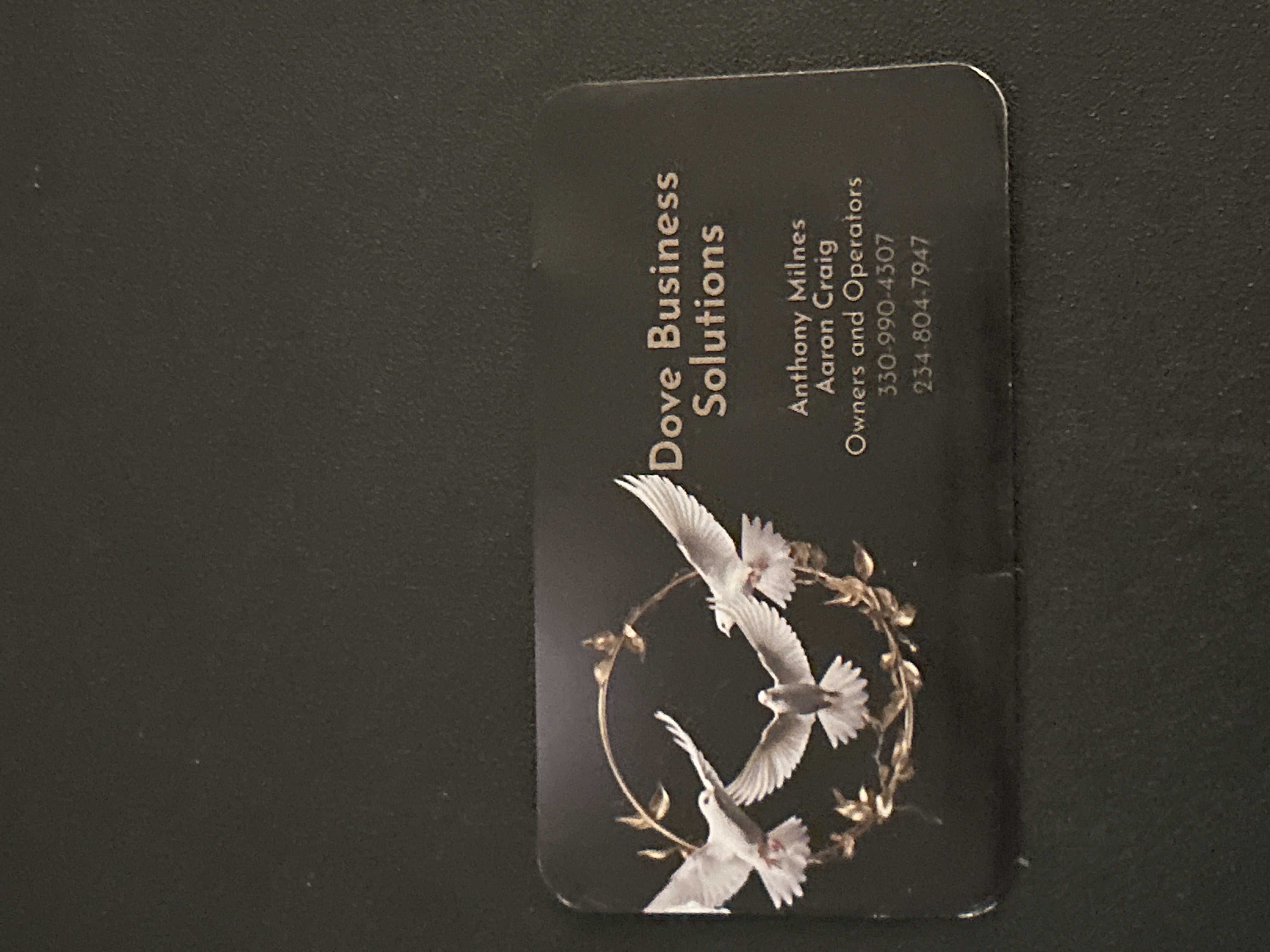 Avatar for Dove Business Solutions LLC