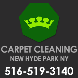 Carpet Cleaning North New Hyde Park logo