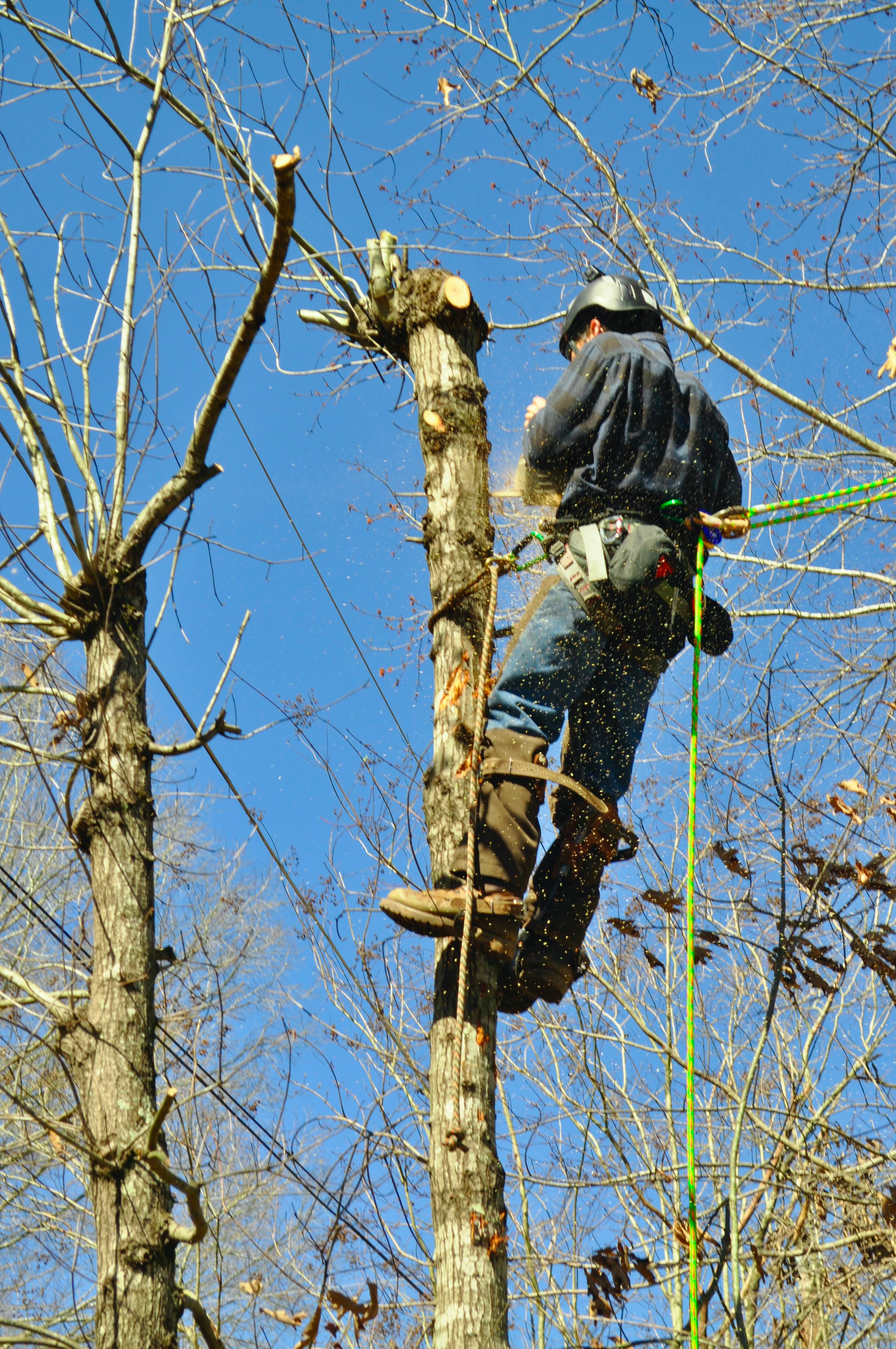 Avatar for Eden Outdoor Works