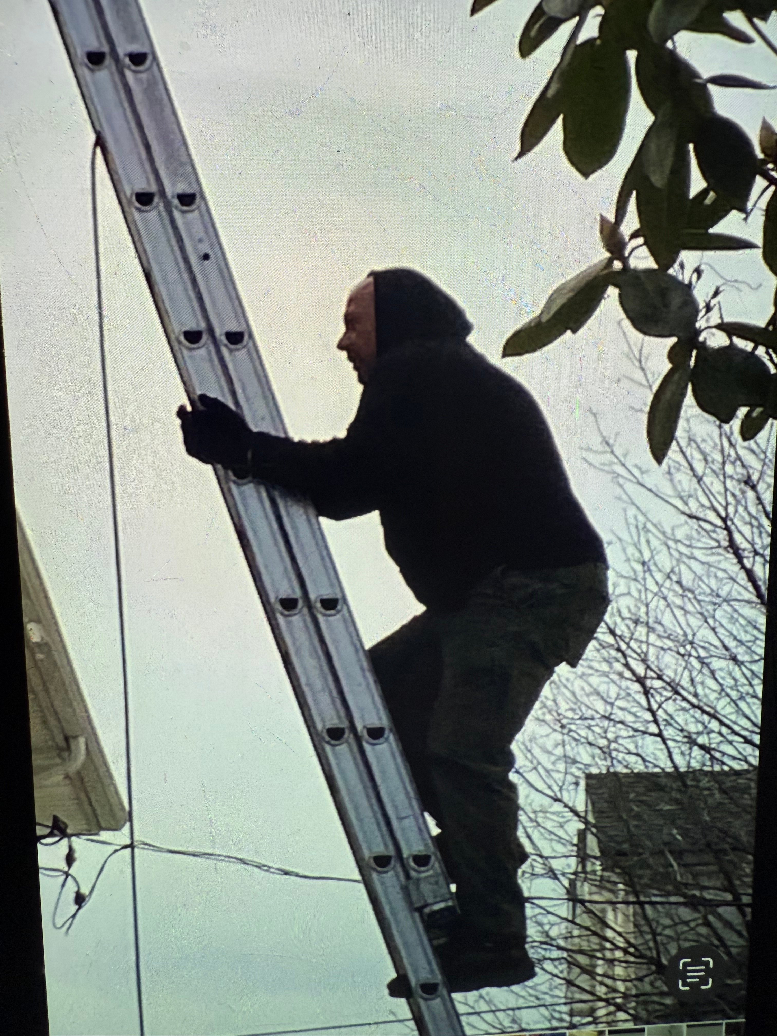 Avatar for Sweeps chimney services