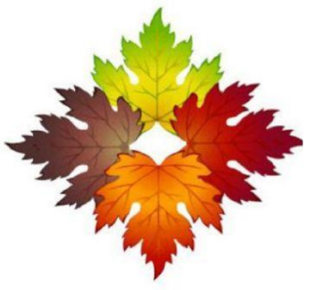 Avatar for Four Seasons Landscape and Construction