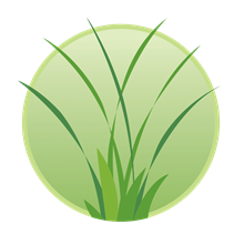 Avatar for Clean Yard, LLC