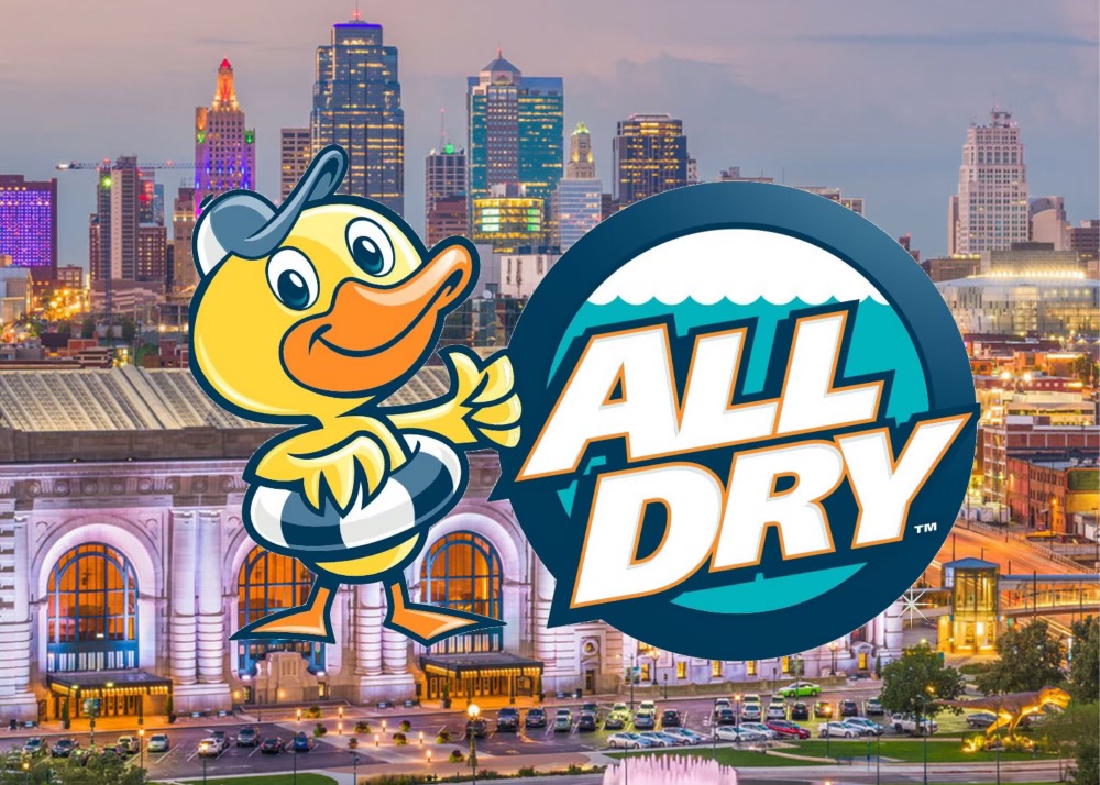 Avatar for All Dry Services of South Kansas City