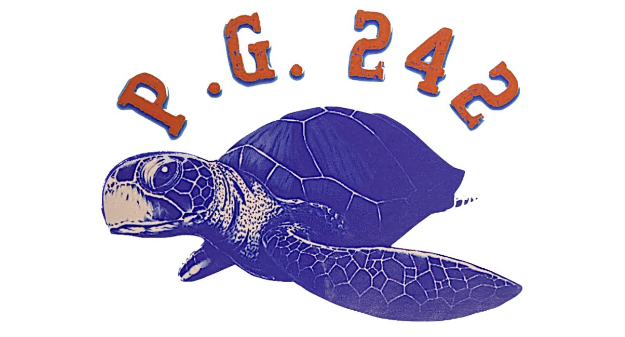 Avatar for project-group-242-inc