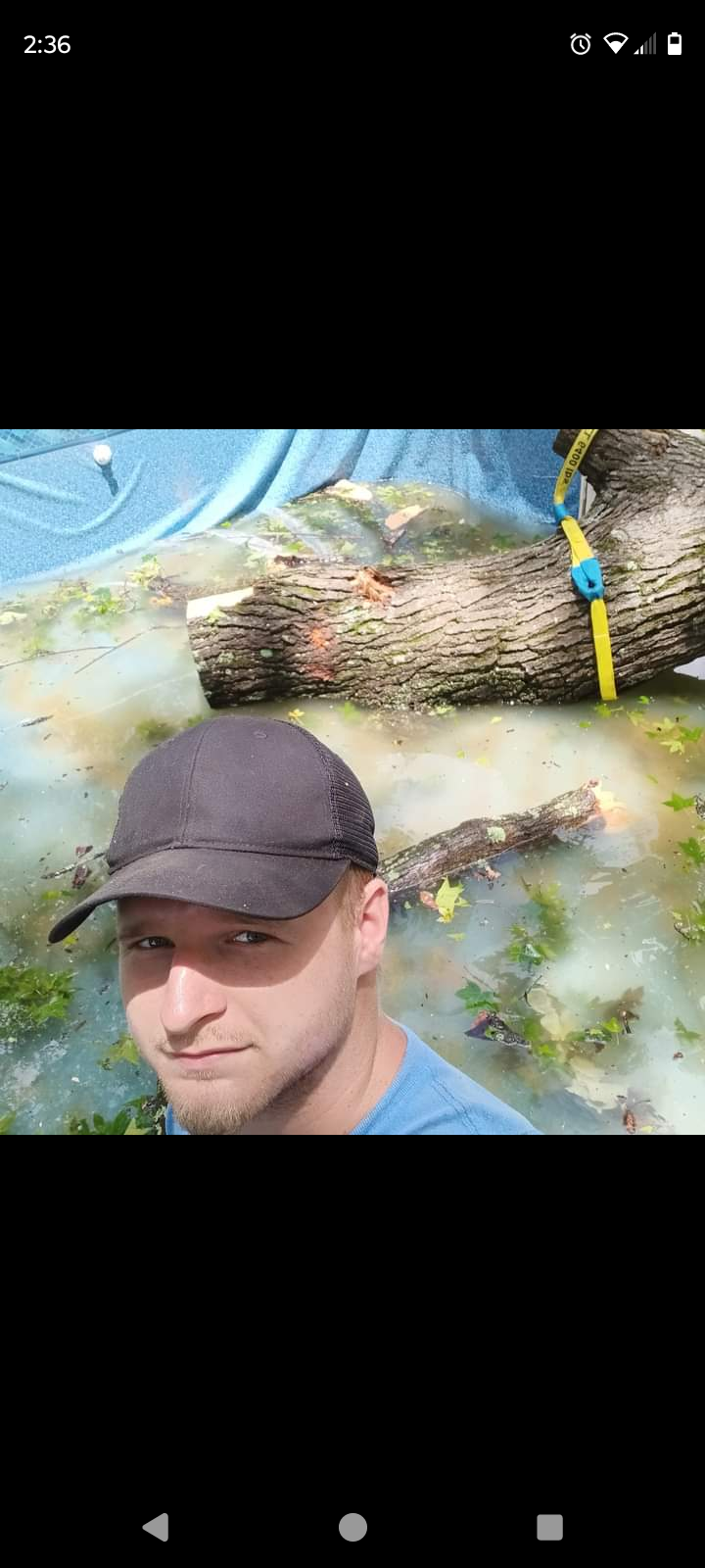 Avatar for Nichols tree and outdoors