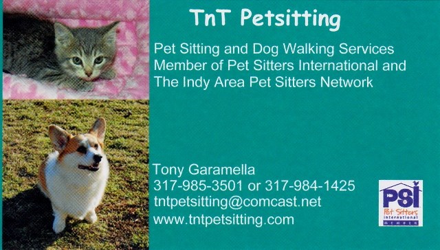 Logo for TnT Petsitting