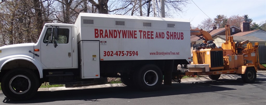 Chiptruck