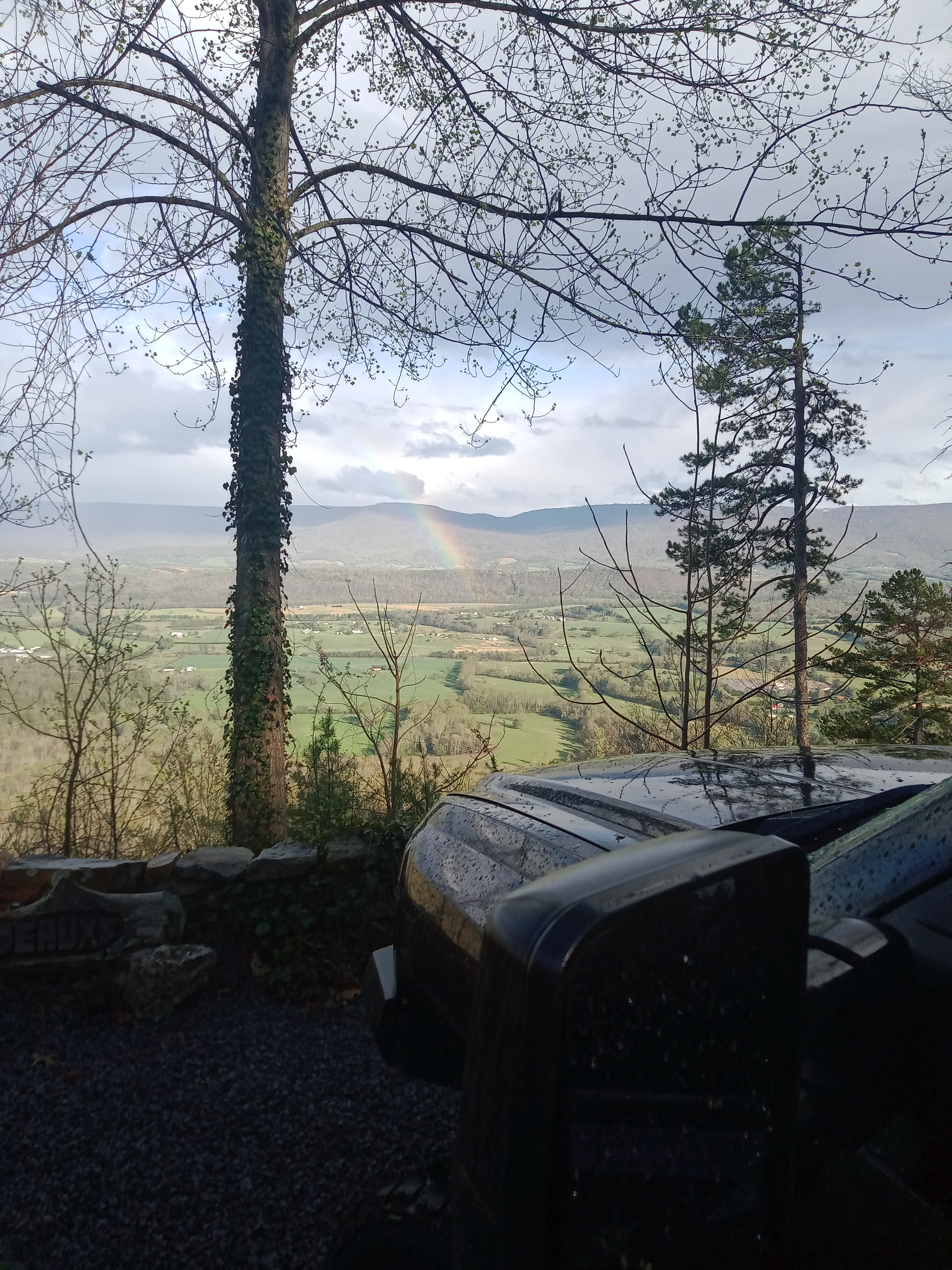 Avatar for Downrighthandy