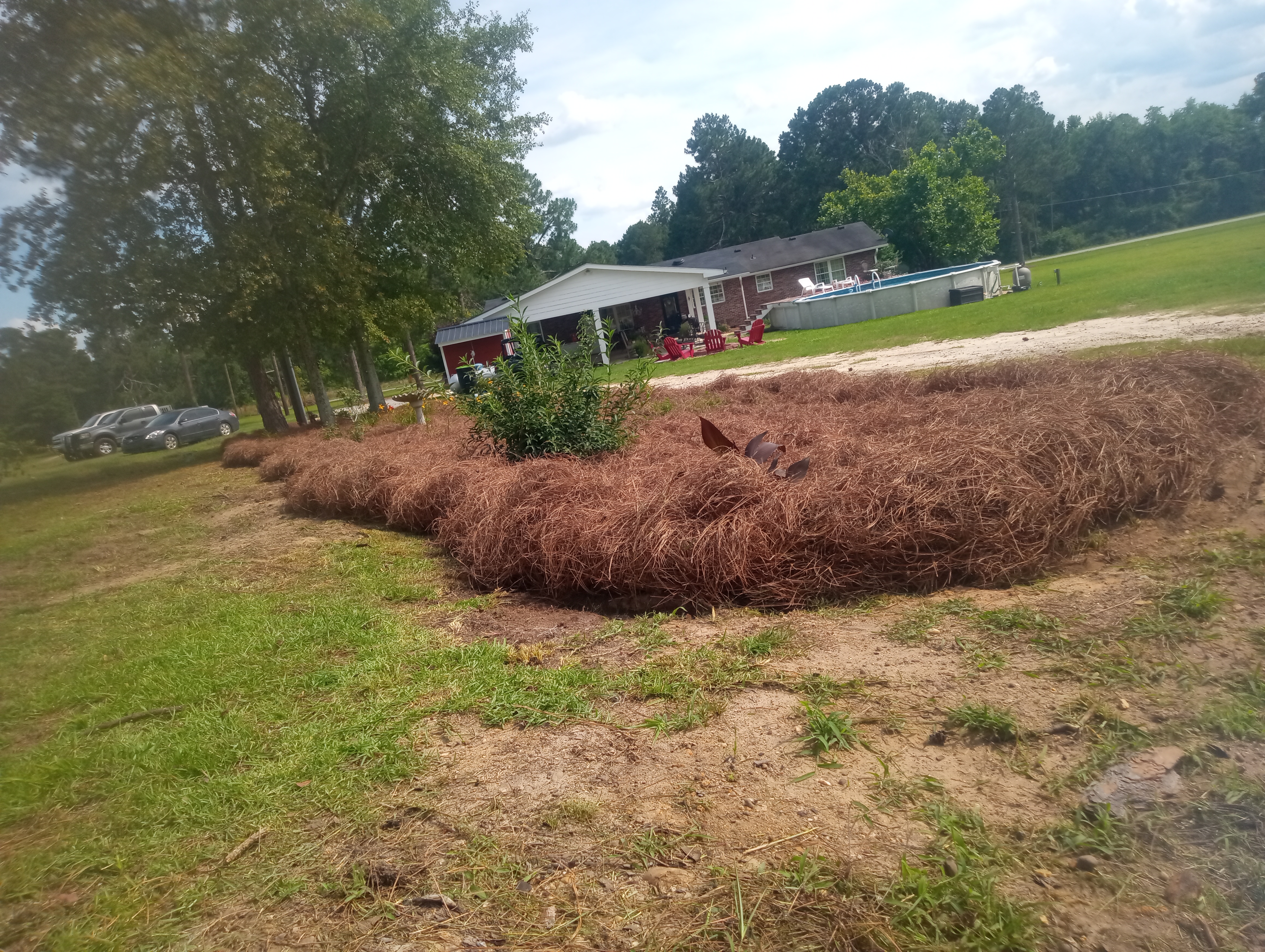 Avatar for Yard crickets