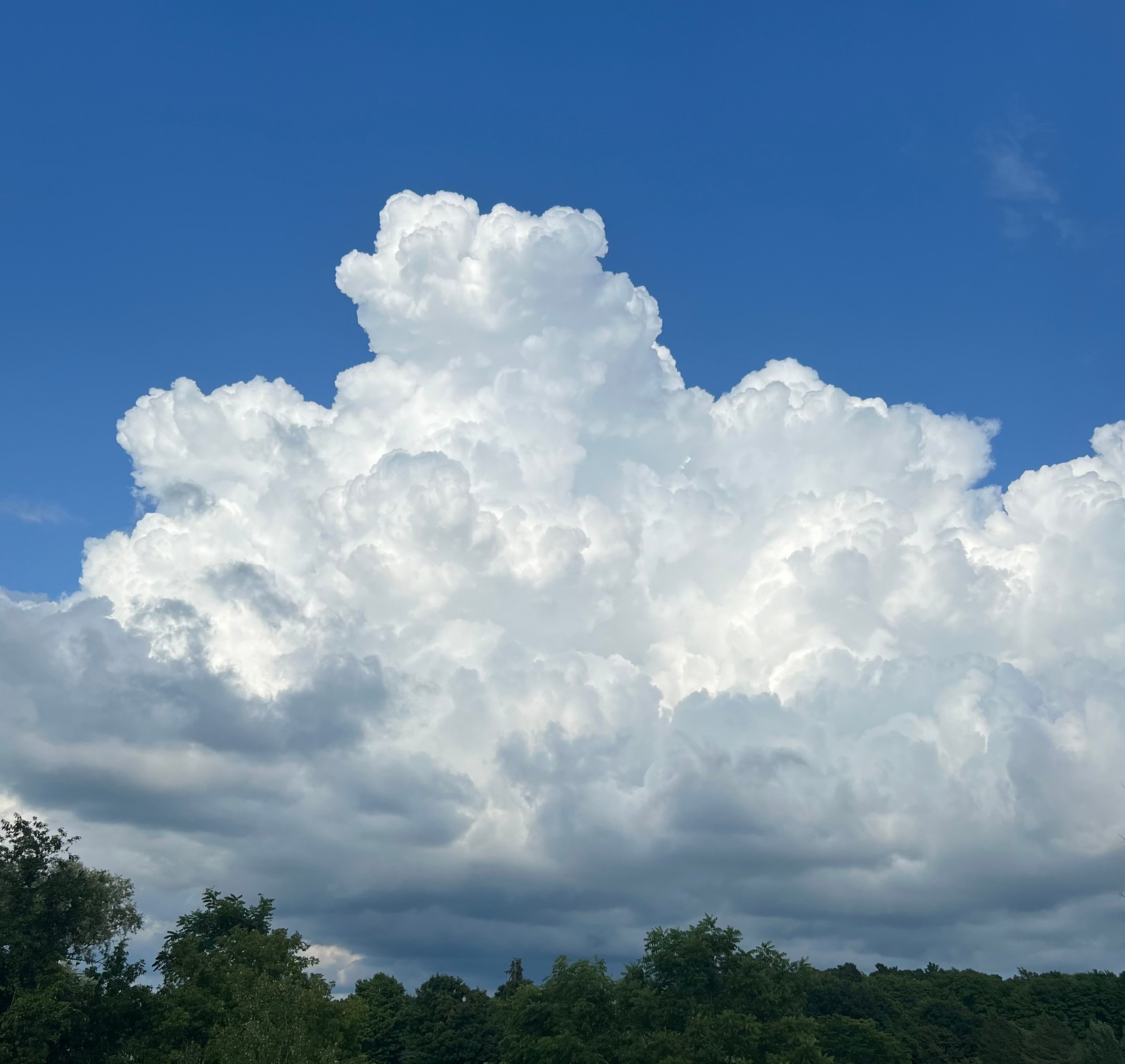 Avatar for Silver Lined Cleaning