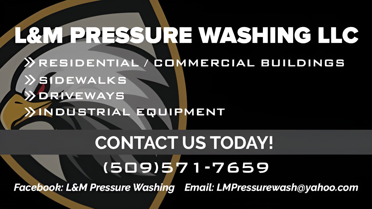 Avatar for L&M pressure washing