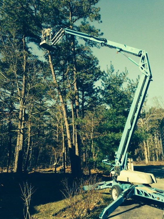 Tree Services