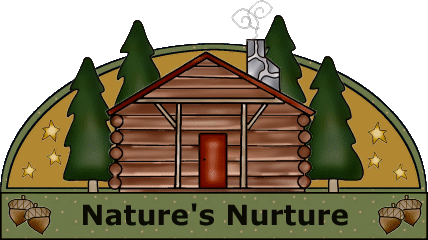 Nature's Nurture Lamps logo