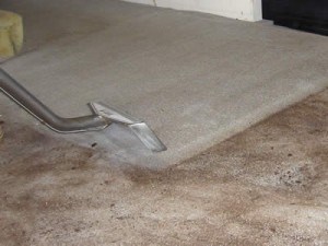 Carpet