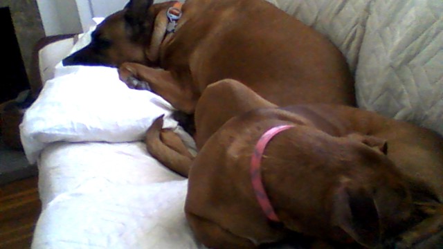 Avatar for fran's handy services