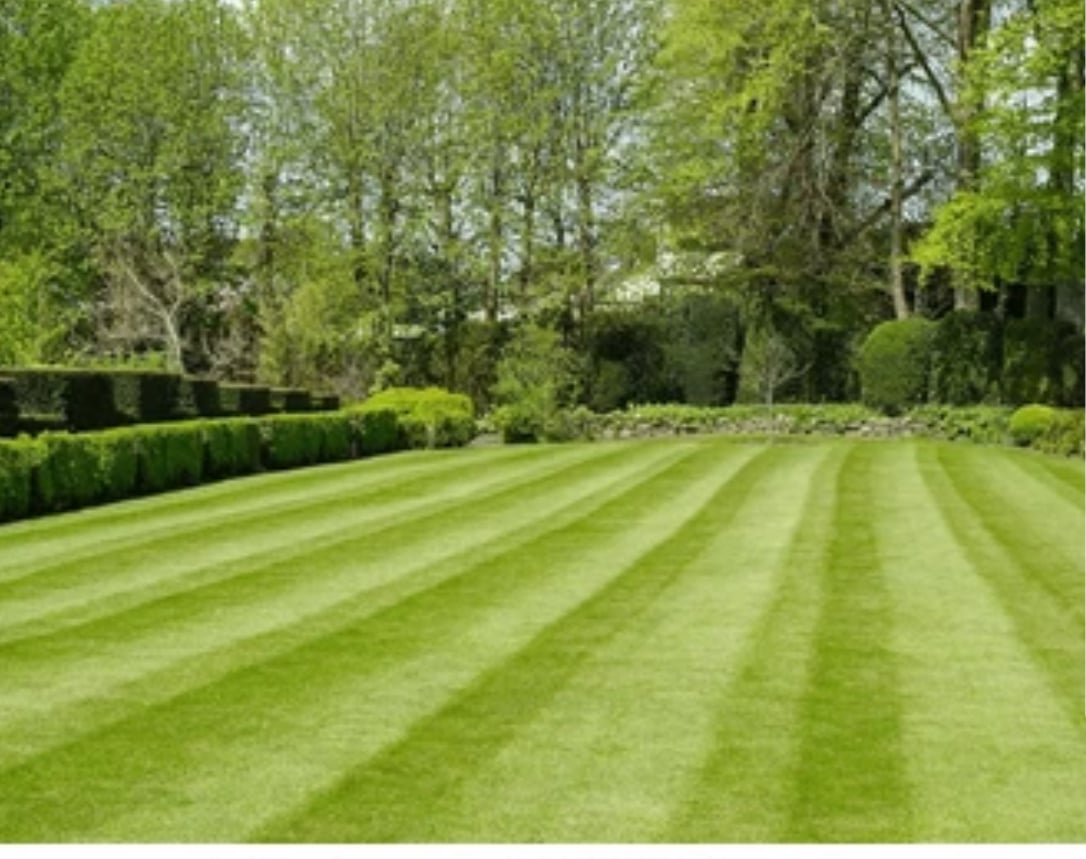 Avatar for C and P landscaping 