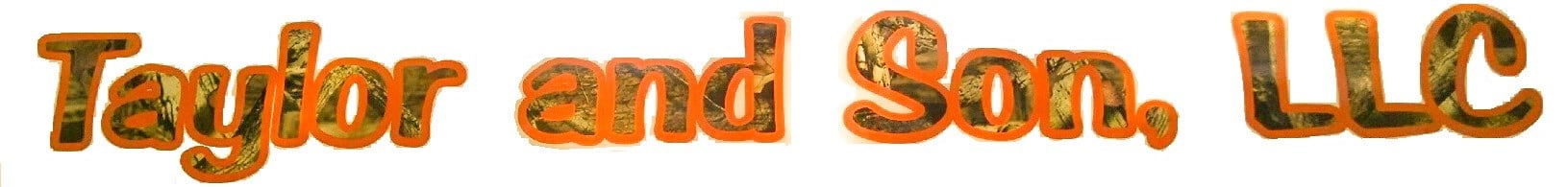 Avatar for Taylor and Son LLC