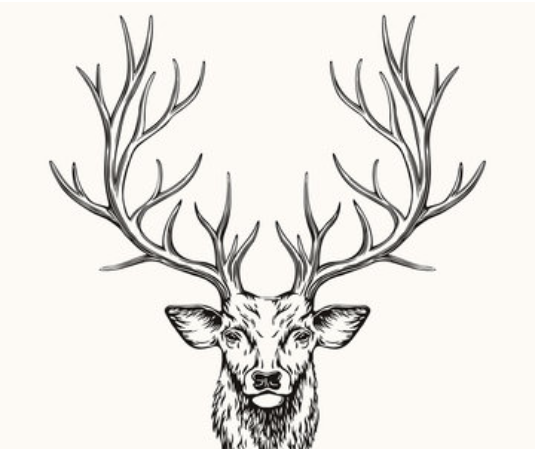 Avatar for Bucklind const.