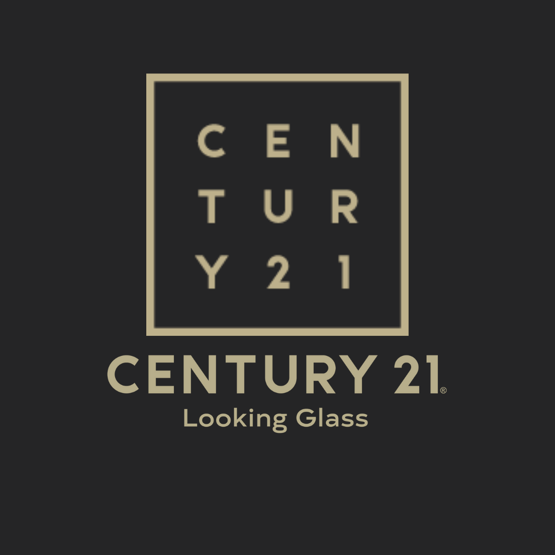 Avatar for Century 21 Looking Glass Dolinski Group