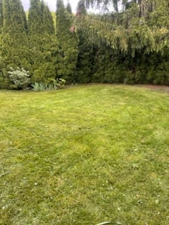 Avatar for Domy bros pressure wash and lawncare llc