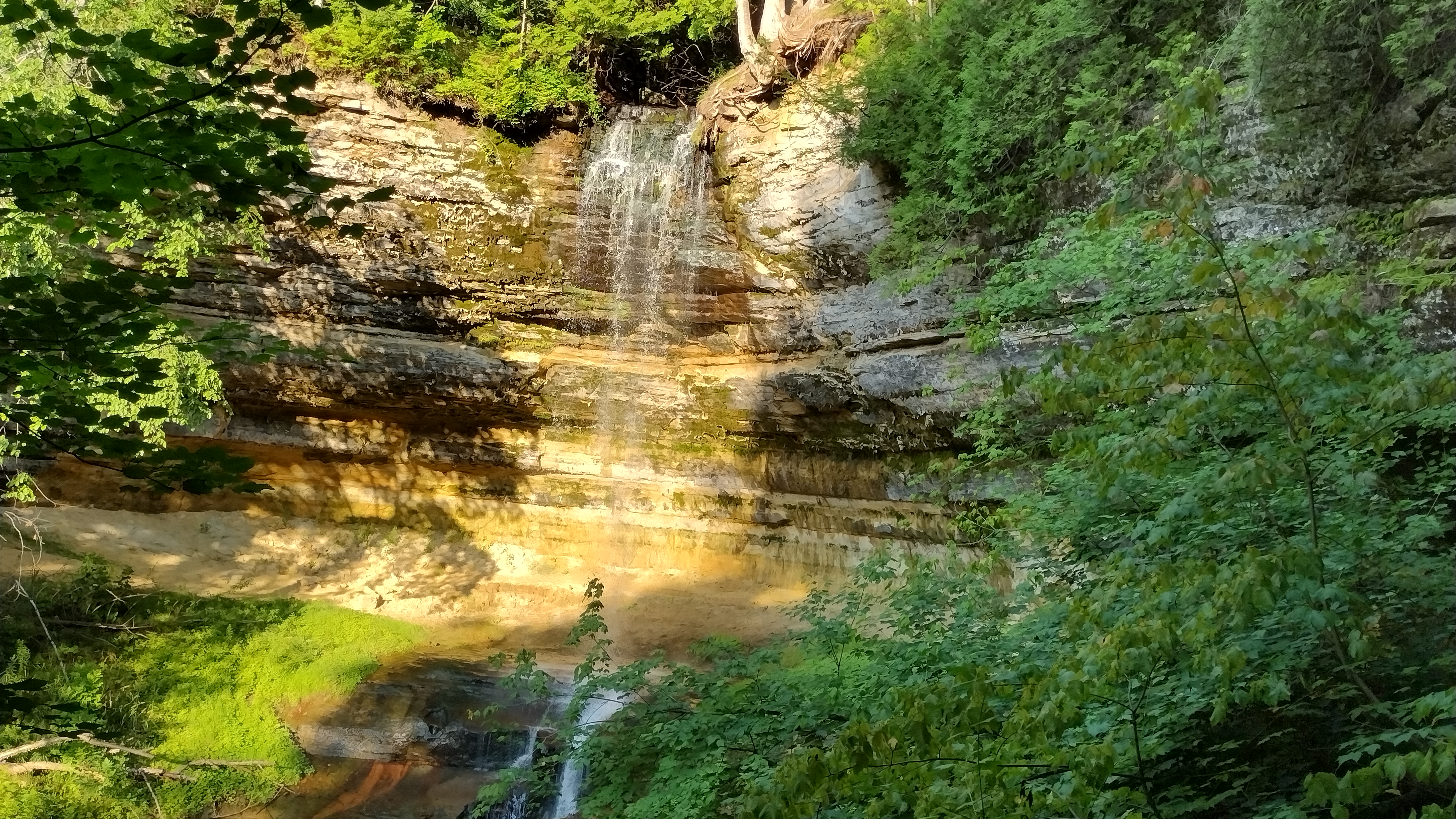 Avatar for Sydow Construction and Lanscaping