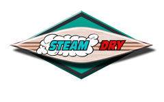 Avatar for Steam Dry