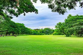 Avatar for L&B lawn services