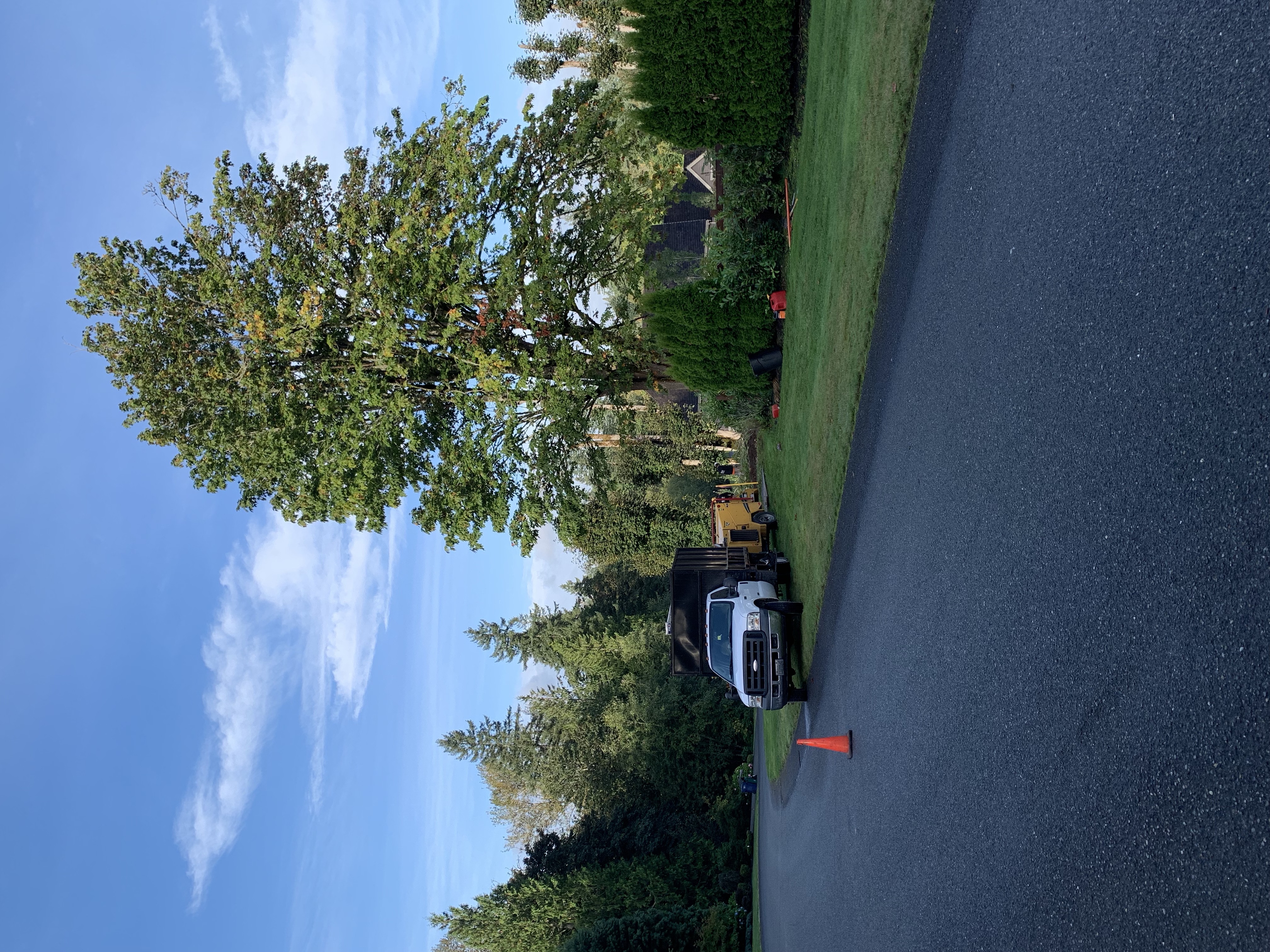 Green Nature Tree Service Reviews Fall City, WA Angi