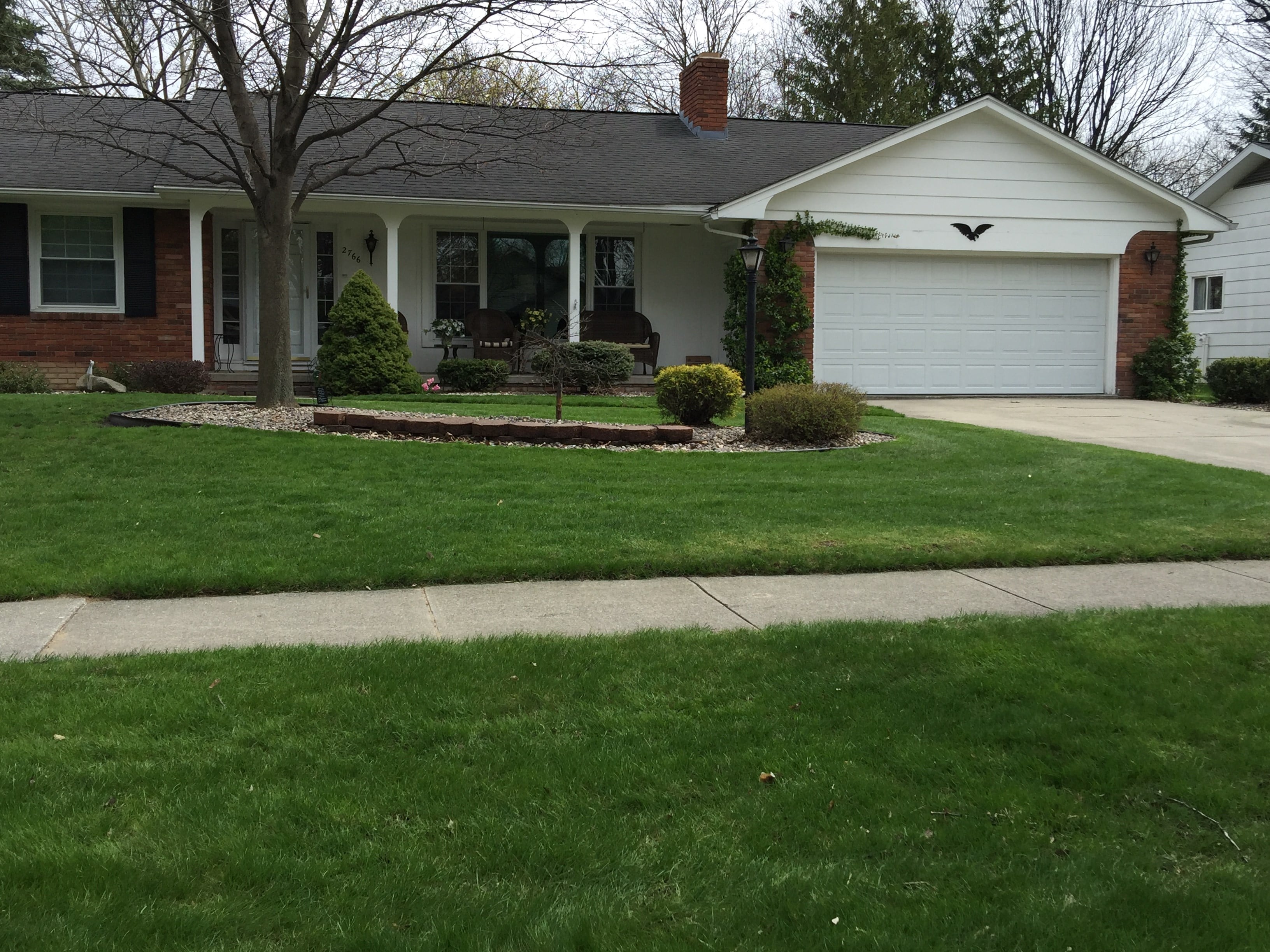 Avatar for Aeder's Lawn Care