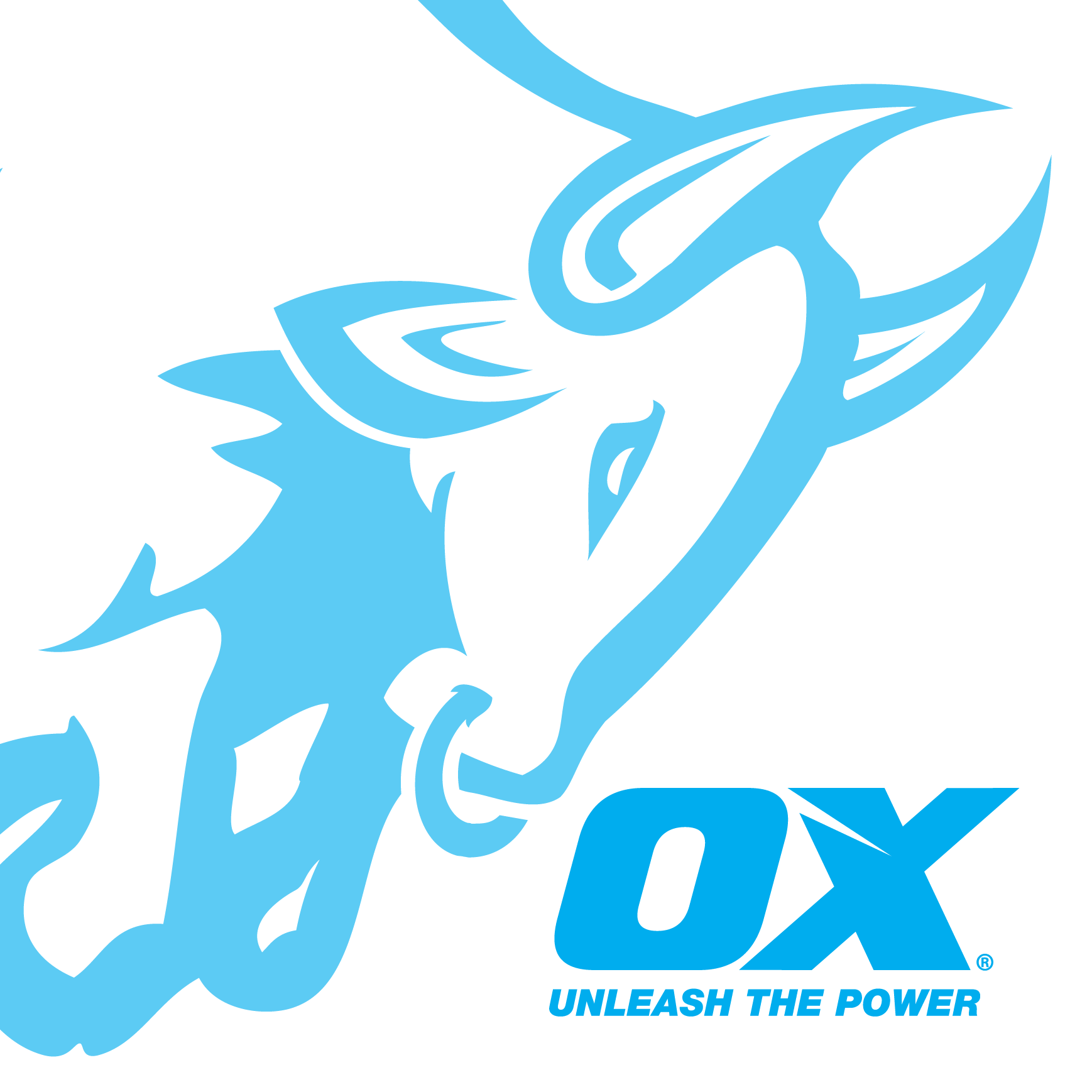 Avatar for OX Group USA