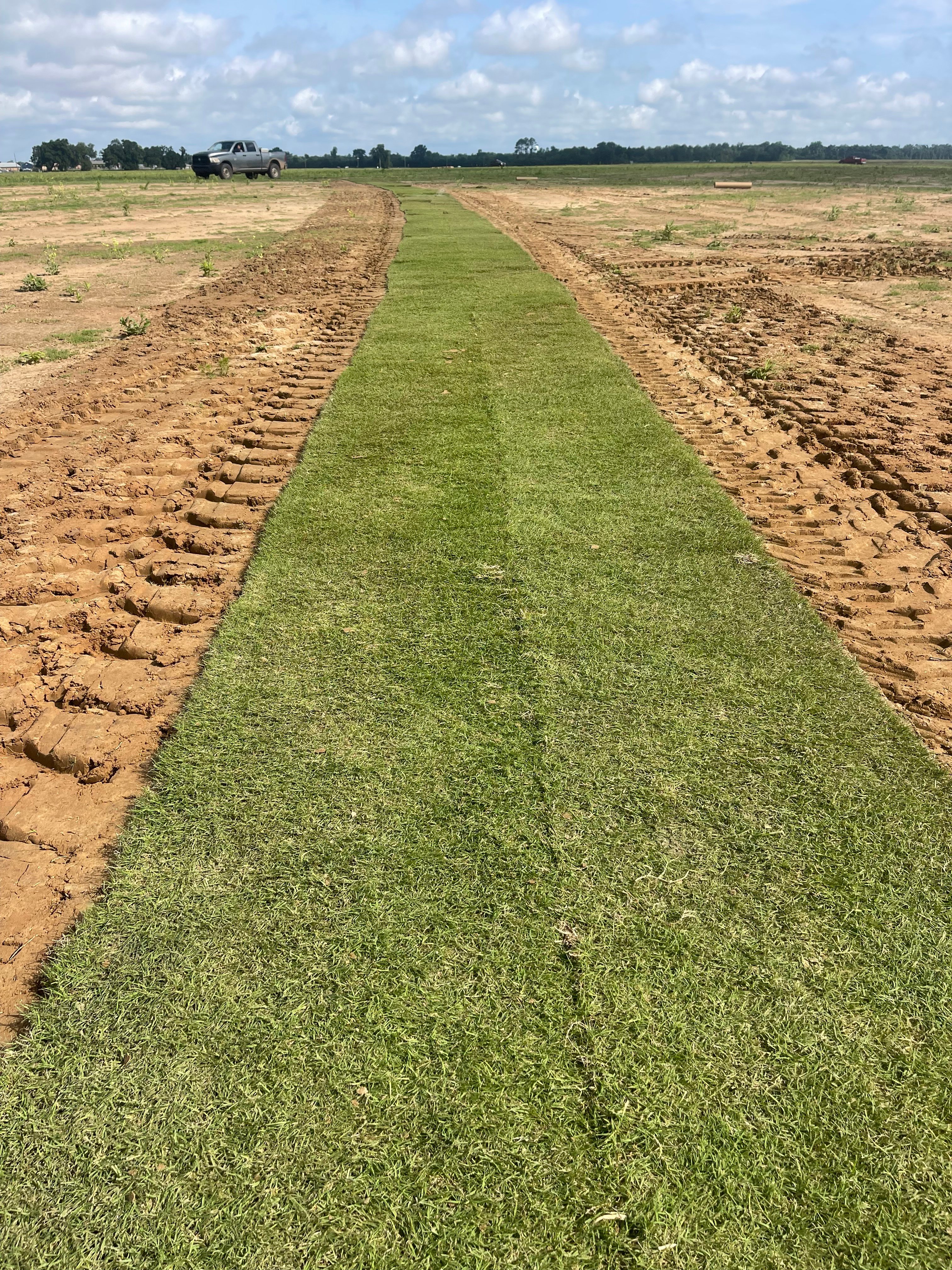 Avatar for Triple C Landscape