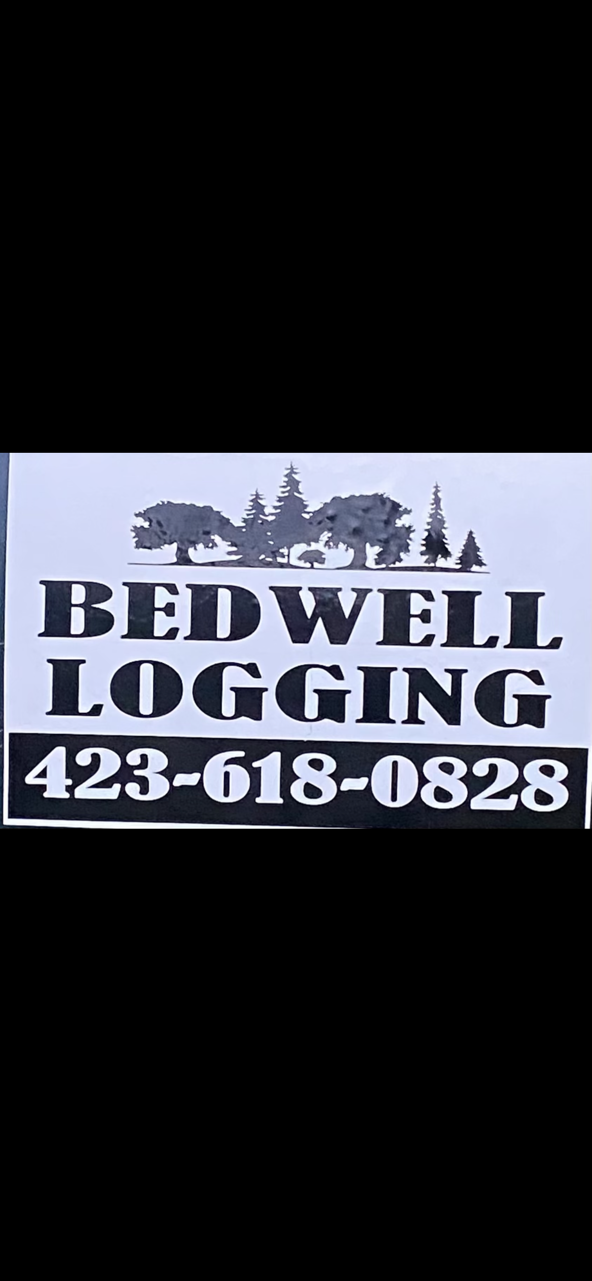 Avatar for Bedwell logging