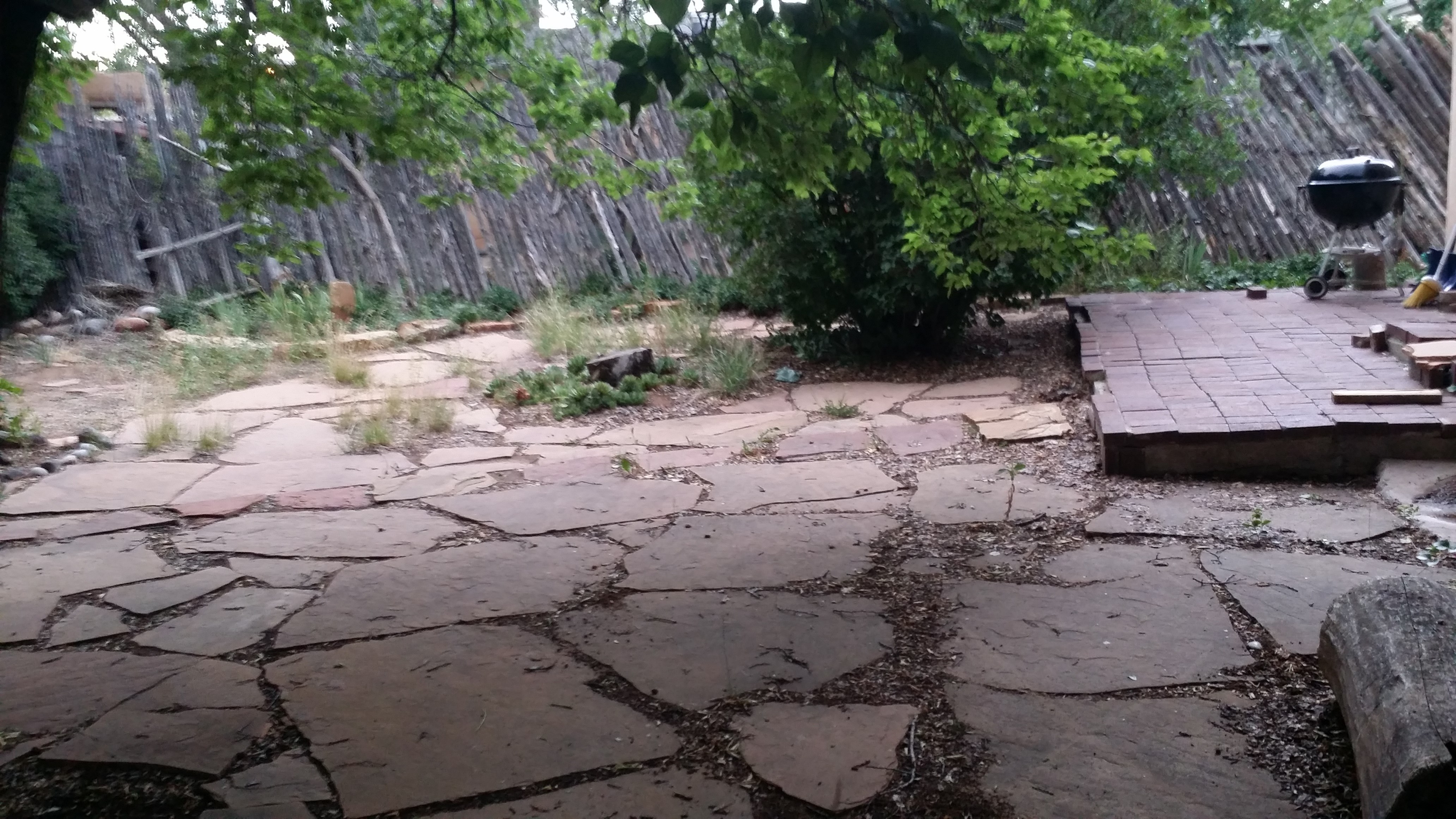 Avatar for alex's Landscaping