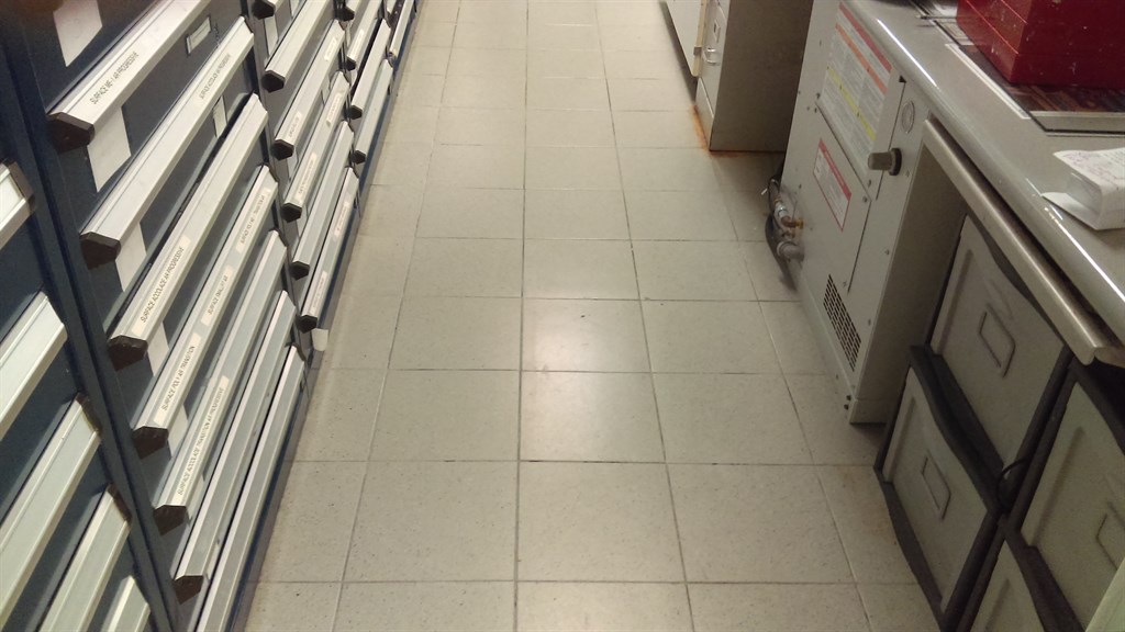 Lens Crafters store