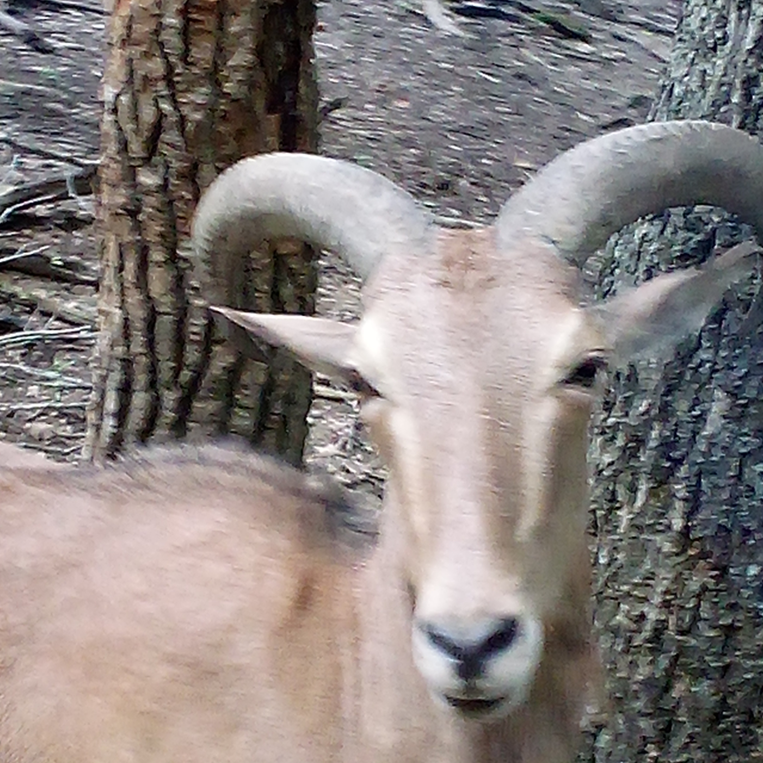 Avatar for Glotzbach