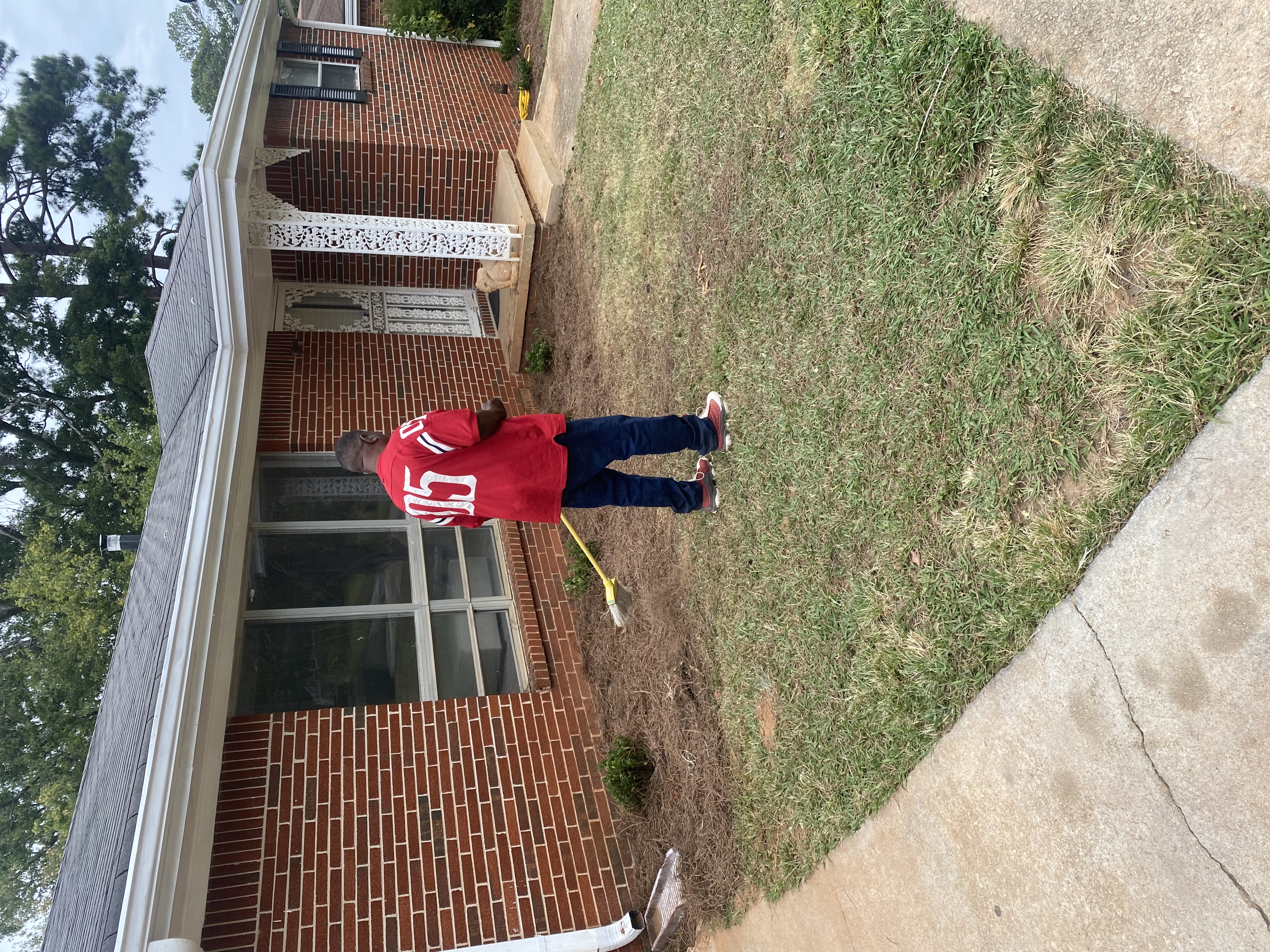 Avatar for Oak tree development 