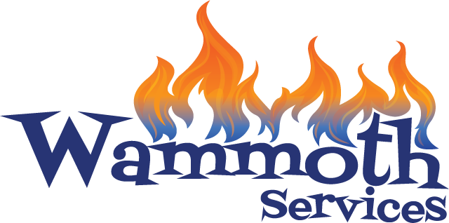 Avatar for Wammoth Services