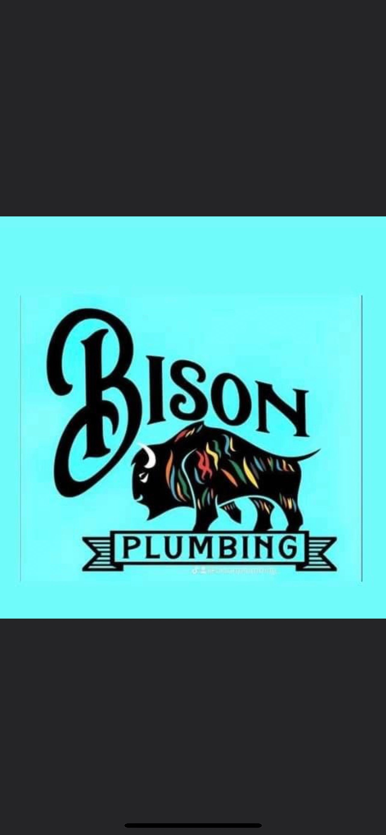 Avatar for Bison Plumbing