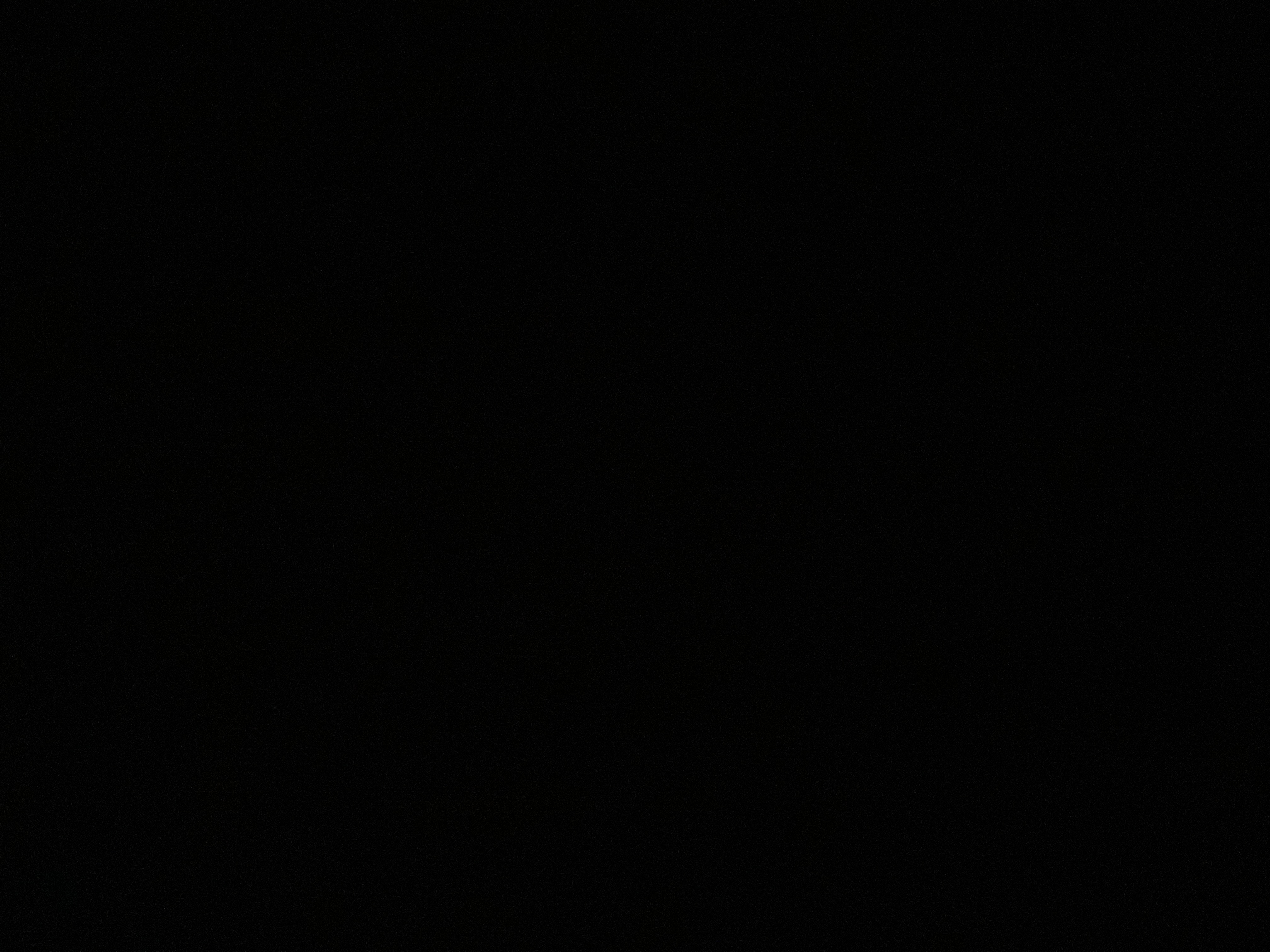 Avatar for House keeper 